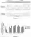 Fig. 15 - CONTINUOUS DIRECTED EVOLUTION