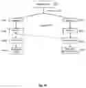 Fig. 02 - Methods for isolating cell-free DNA