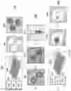 Fig. 02 - METHODS AND SYSTEMS FOR DROPLET-BASED SINGLE CELL BARCODING