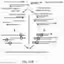Fig. 27 - METHODS AND SYSTEMS FOR DROPLET-BASED SINGLE CELL BARCODING