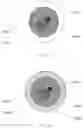 Fig. 32 - METHODS AND SYSTEMS FOR DROPLET-BASED SINGLE CELL BARCODING