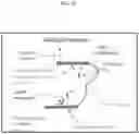 Fig. 02 - Bistable polynucleotide devices for the sensing and quantification of molecular events