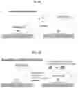 Fig. 12 - Bistable polynucleotide devices for the sensing and quantification of molecular events