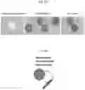 Fig. 22 - Bistable polynucleotide devices for the sensing and quantification of molecular events