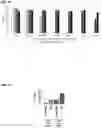 Fig. 05 - Chemically modified guide RNAS for CRISPR/Cas-mediated gene regulation