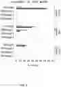Fig. 10 - Chemically modified guide RNAS for CRISPR/Cas-mediated gene regulation