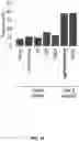 Fig. 19 - Chemically modified guide RNAS for CRISPR/Cas-mediated gene regulation