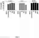 Fig. 08 - CHEMICALLY MODIFIED GUIDE RNAS FOR CRISPR/CAS-MEDIATED GENE CORRECTION