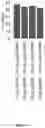 Fig. 16 - CHEMICALLY MODIFIED GUIDE RNAS FOR CRISPR/CAS-MEDIATED GENE CORRECTION