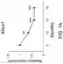 Fig. 02 - OLIGONUCLEOTIDES AND METHODS FOR THE TREATMENT OF AGE-RELATED MACULAR
DEGENERATION
