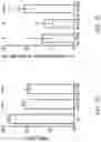 Fig. 04 - OLIGONUCLEOTIDES AND METHODS FOR THE TREATMENT OF AGE-RELATED MACULAR
DEGENERATION