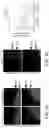 Fig. 08 - OLIGONUCLEOTIDES AND METHODS FOR THE TREATMENT OF AGE-RELATED MACULAR
DEGENERATION