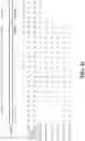 Fig. 105 - OLIGONUCLEOTIDE COMPOSITIONS AND METHODS THEREOF
