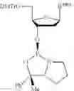 Fig. 244 - OLIGONUCLEOTIDE COMPOSITIONS AND METHODS THEREOF