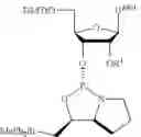 Fig. 246 - OLIGONUCLEOTIDE COMPOSITIONS AND METHODS THEREOF