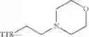 Fig. 312 - OLIGONUCLEOTIDE COMPOSITIONS AND METHODS THEREOF