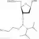 Fig. 342 - OLIGONUCLEOTIDE COMPOSITIONS AND METHODS THEREOF