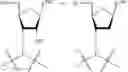 Fig. 353 - OLIGONUCLEOTIDE COMPOSITIONS AND METHODS THEREOF