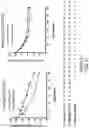 Fig. 54 - OLIGONUCLEOTIDE COMPOSITIONS AND METHODS THEREOF