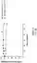 Fig. 60 - OLIGONUCLEOTIDE COMPOSITIONS AND METHODS THEREOF