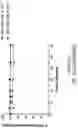 Fig. 64 - OLIGONUCLEOTIDE COMPOSITIONS AND METHODS THEREOF