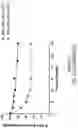 Fig. 65 - OLIGONUCLEOTIDE COMPOSITIONS AND METHODS THEREOF