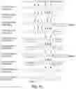 Fig. 79 - OLIGONUCLEOTIDE COMPOSITIONS AND METHODS THEREOF