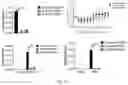 Fig. 11 - Methods for preventing and treating or diagnosing coronavirus infection