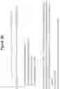 Fig. 04 - RNA interference mediated inhibition of gene expression using short interfering nucleic acids (siNA)