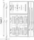 Fig. 05 - RNA interference mediated inhibition of gene expression using short interfering nucleic acids (siNA)