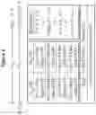 Fig. 06 - RNA interference mediated inhibition of gene expression using short interfering nucleic acids (siNA)
