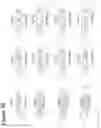 Fig. 08 - RNA interference mediated inhibition of gene expression using short interfering nucleic acids (siNA)