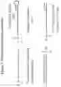 Fig. 11 - RNA interference mediated inhibition of gene expression using short interfering nucleic acids (siNA)