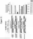 Fig. 15 - RNA interference mediated inhibition of gene expression using short interfering nucleic acids (siNA)