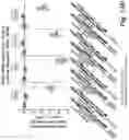 Fig. 18 - RNA interference mediated inhibition of gene expression using short interfering nucleic acids (siNA)