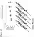 Fig. 21 - RNA interference mediated inhibition of gene expression using short interfering nucleic acids (siNA)