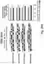 Fig. 27 - RNA interference mediated inhibition of gene expression using short interfering nucleic acids (siNA)