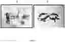 Fig. 09 - Antisense oligonucleotide and double stranded RNAS for control of hemipteran and lepidopteran pests