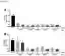 Fig. 13 - NUCLEIC ACIDS FOR INHIBITING EXPRESSION OF C3 IN A CELL