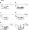Fig. 14 - NUCLEIC ACIDS FOR INHIBITING EXPRESSION OF C3 IN A CELL