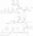 Fig. 46 - TAU-TARGETING OLIGONUCLEOTIDE GAPMERS