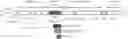 Fig. 01 - COMBINATORIAL CAR T CELL AND HEMATOPOEITIC STEM CELL GENETIC ENGINEERING FOR SPECIFIC IMMUNOTHERAPY OF MYELOID LEUKEMIAS