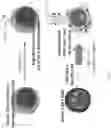 Fig. 03 - COMBINATORIAL CAR T CELL AND HEMATOPOEITIC STEM CELL GENETIC ENGINEERING FOR SPECIFIC IMMUNOTHERAPY OF MYELOID LEUKEMIAS