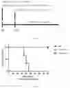 Fig. 15 - COMBINATORIAL CAR T CELL AND HEMATOPOEITIC STEM CELL GENETIC ENGINEERING FOR SPECIFIC IMMUNOTHERAPY OF MYELOID LEUKEMIAS