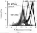 Fig. 03 - Protein engineering via error-prone orthogonal replication and yeast surface display