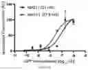 Fig. 16 - Protein engineering via error-prone orthogonal replication and yeast surface display
