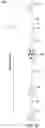 Fig. 05 - Curing for recursive nucleic acid-guided cell editing