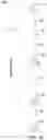 Fig. 07 - Curing for recursive nucleic acid-guided cell editing