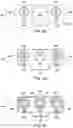 Fig. 18 - Curing for recursive nucleic acid-guided cell editing