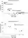 Fig. 33 - Curing for recursive nucleic acid-guided cell editing